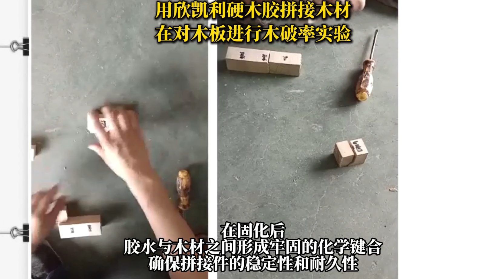 欣凱利硬木膠具有出色的粘接強(qiáng)度，能夠滿足硬木拼接對強(qiáng)度的要求