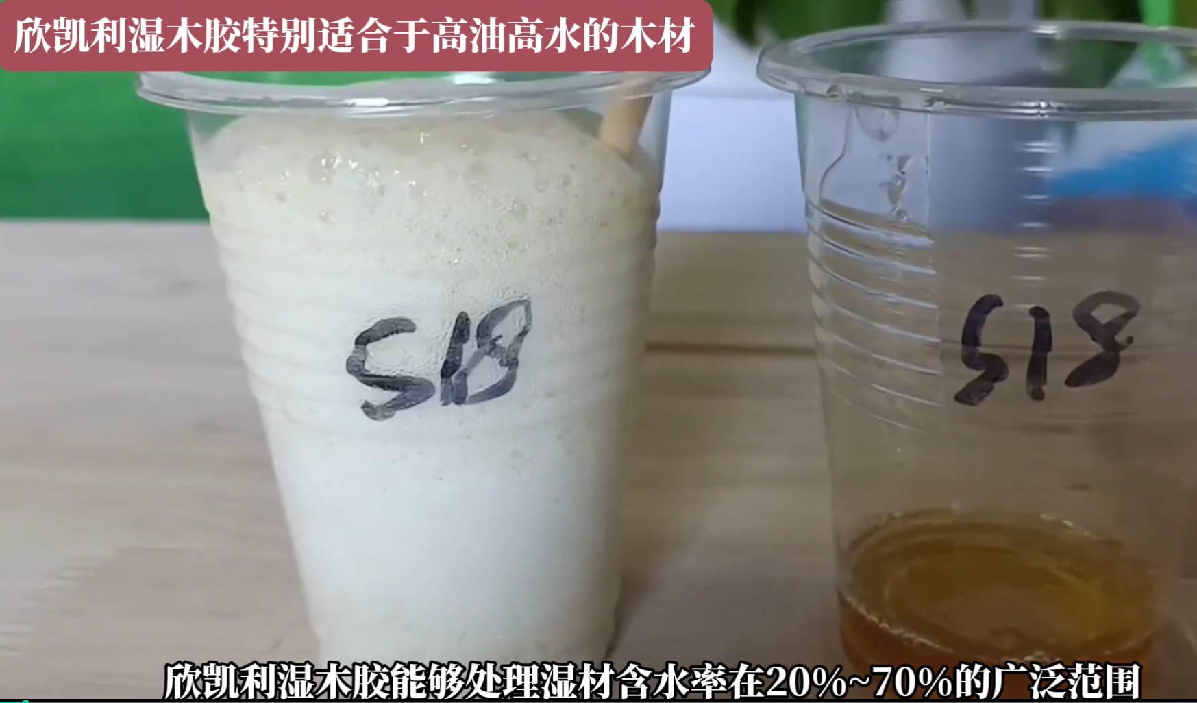 欣凱利濕木膠特別適合于高油高水的木材，快干、快固化